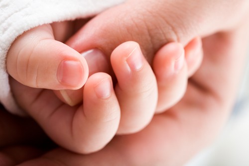 Heilnahrung baby durchfall - Die hochwertigsten Heilnahrung baby durchfall ausführlich analysiert!