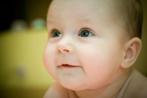 shutterstock 25626196