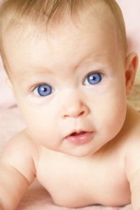 shutterstock 2825615