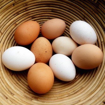 Eier Babyernahrung